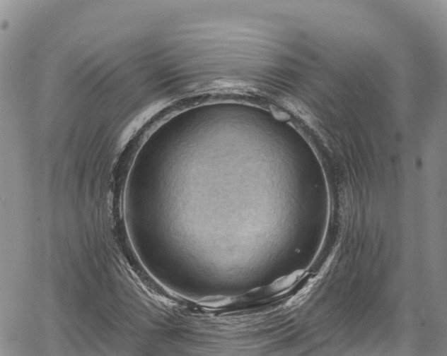 X0000067511066200604101250