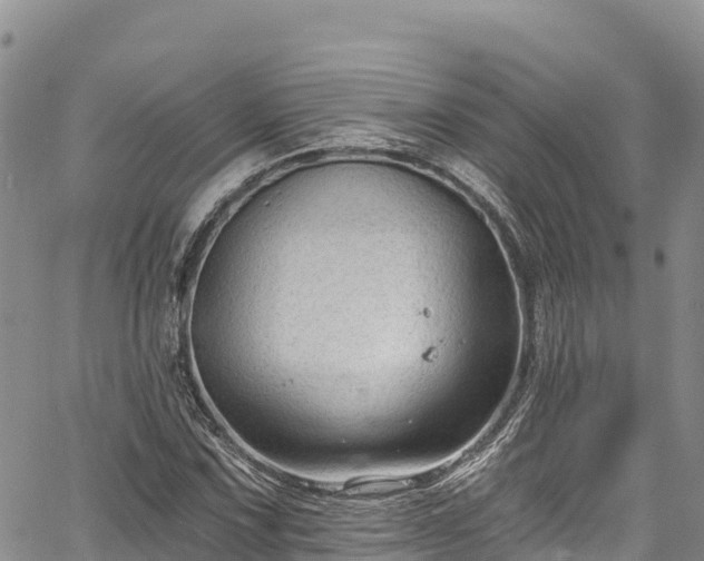 X0000067511067200604101250