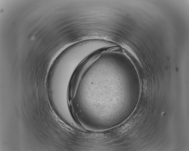 X0000067511068200604101250