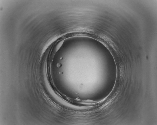 X0000067511069200604101250