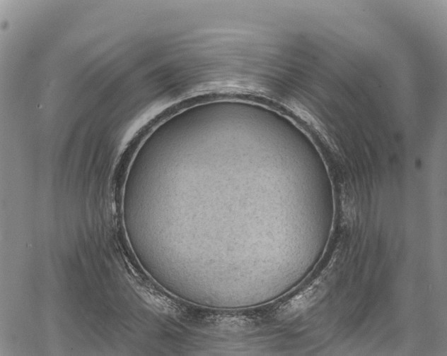 X0000067511070200604101250