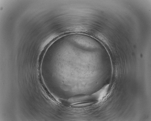 X0000067511071200604101250