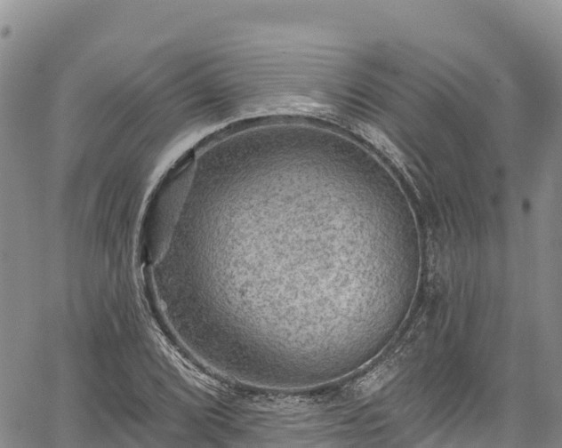 X0000067511072200604101250