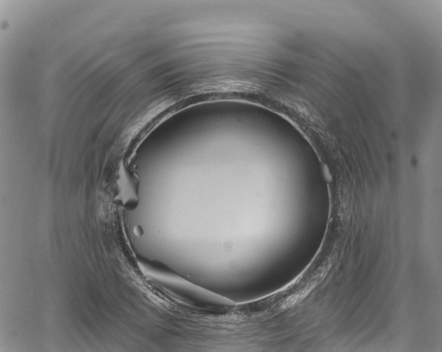 X0000067511073200604101250