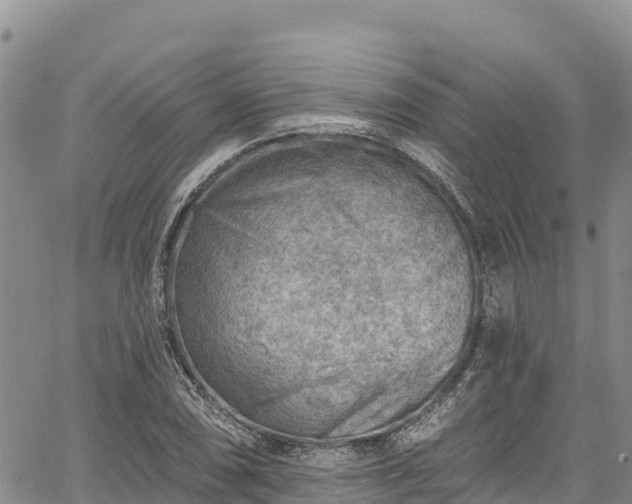 X0000067511074200604101250