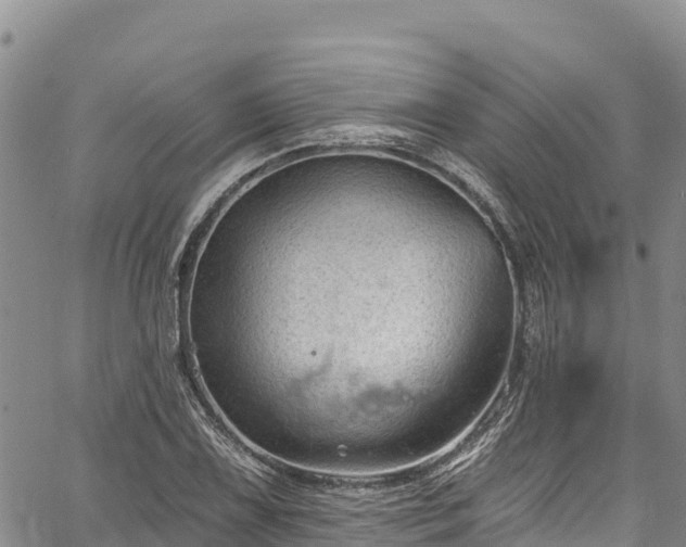 X0000067511075200604101250