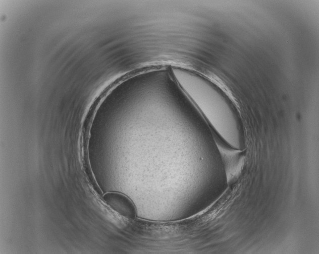 X0000067511076200604101250