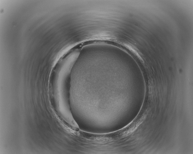 X0000067511077200604101250