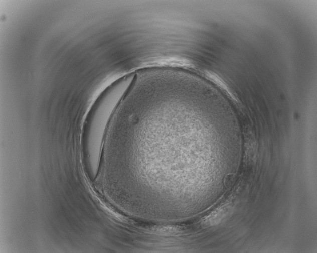 X0000067511079200604101250