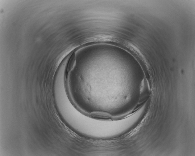 X0000067511081200604101250