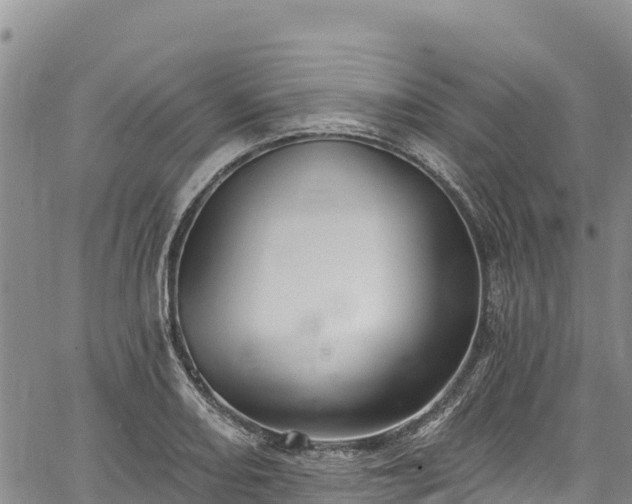 X0000067511082200604101249