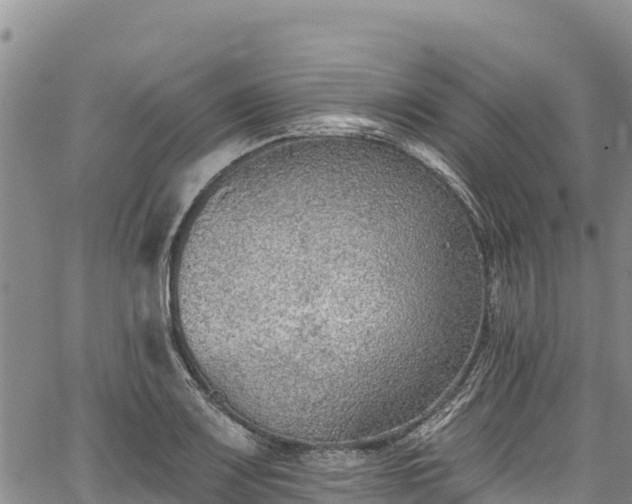 X0000067511083200604101249