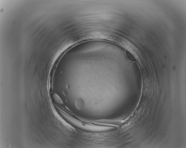 X0000067511084200604101249