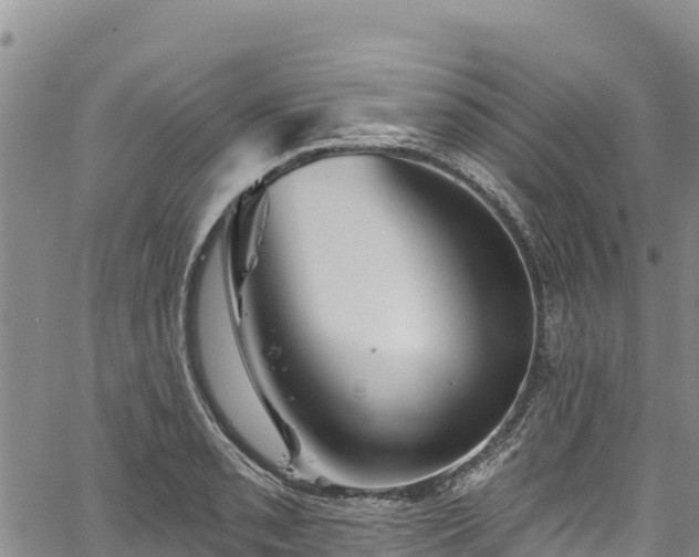 X0000067511085200604101249