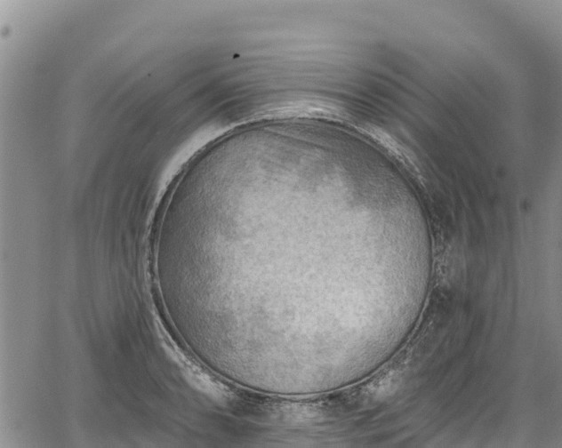 X0000067511086200604101249