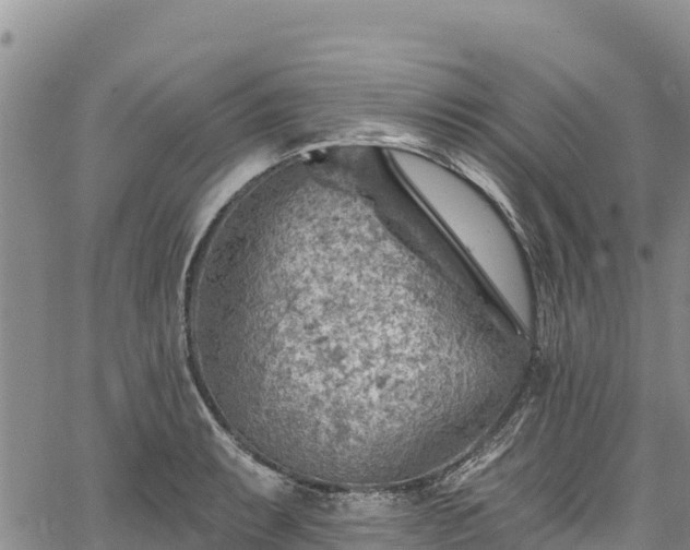 X0000067511087200604101249