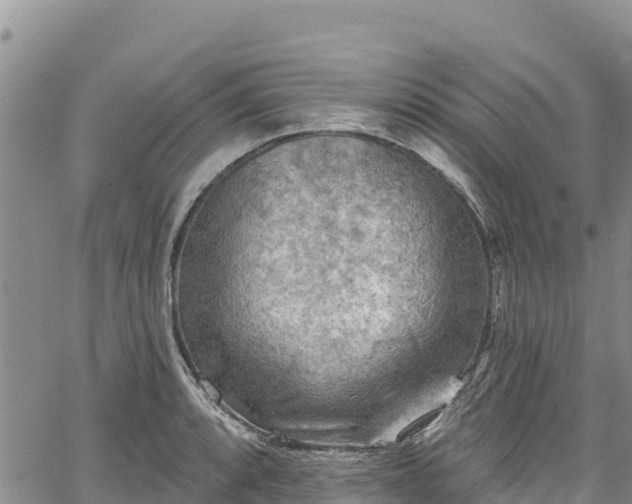 X0000067511088200604101249