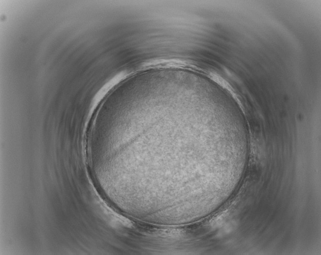 X0000067511090200604101249