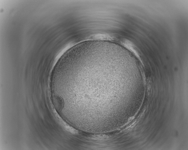 X0000067511091200604101249