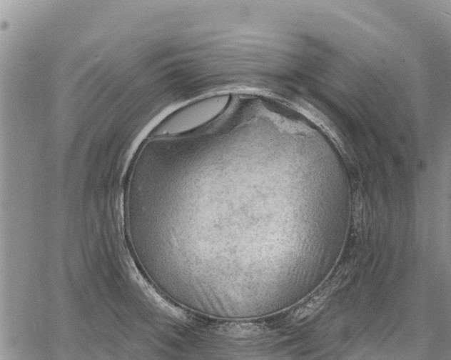 X0000067511092200604101249