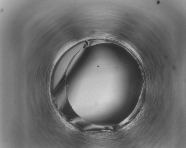 X0000067511093200604101249