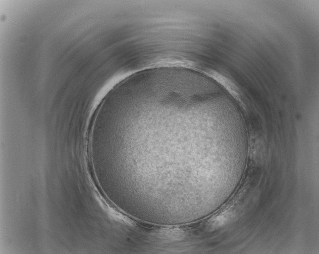 X0000067511094200604101249