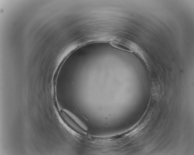 X0000067511095200604101249