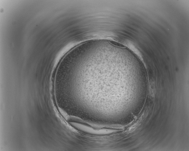 X0000067511096200604101249