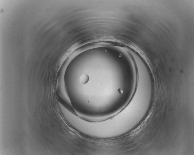 X0000067511097200604101249