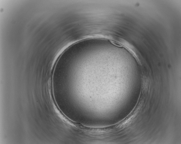 X0000067511100200604101249