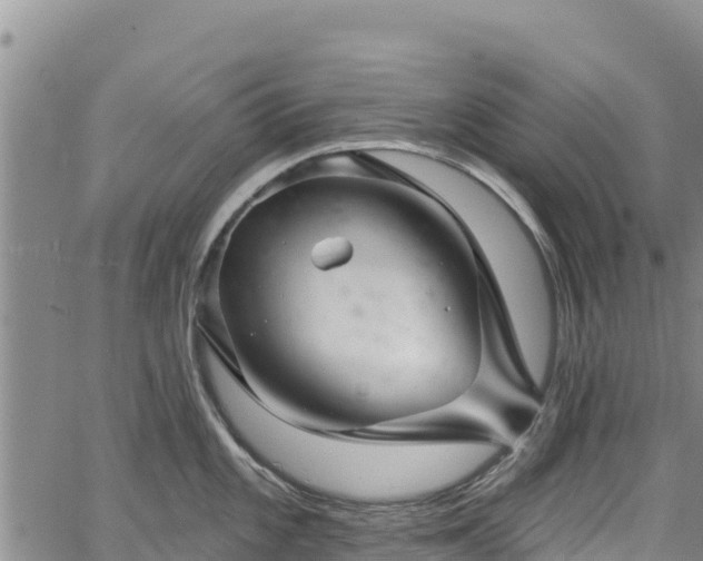 X0000067511101200604101249