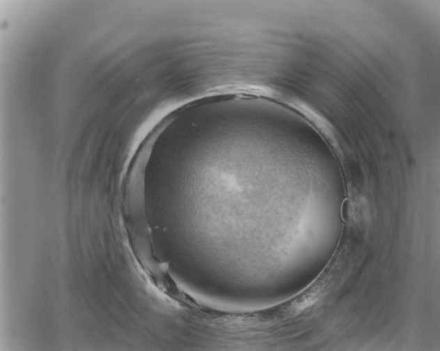 X0000067511102200604101249