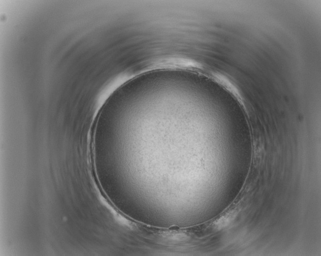 X0000067511103200604101249