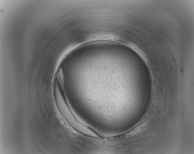 X0000067511104200604101249