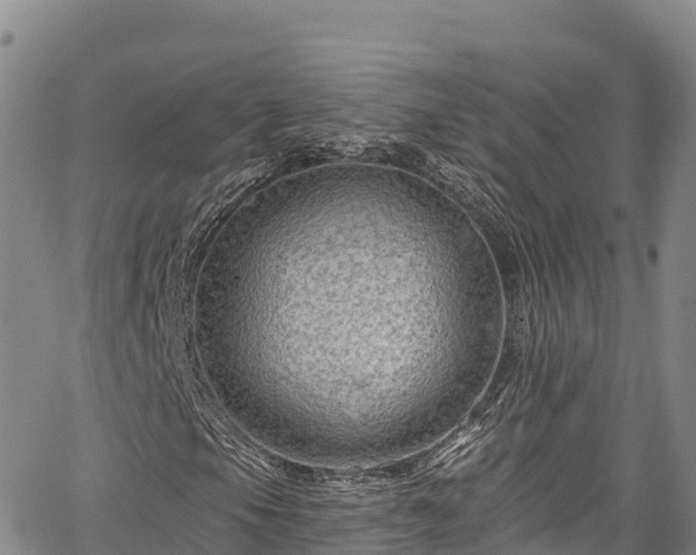 X0000067511105200604101248