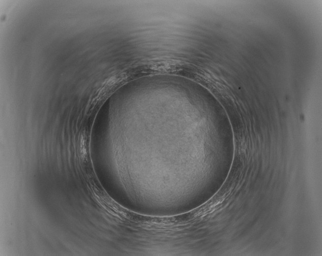 X0000067511106200604101248