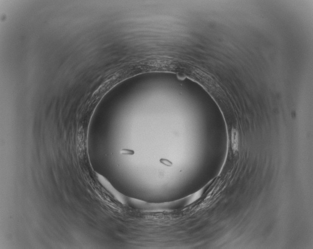 X0000067511107200604101248