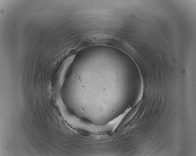 X0000067511108200604101248