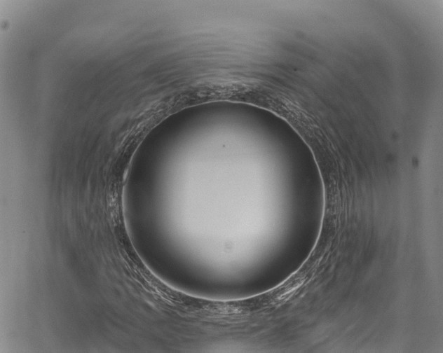 X0000067511109200604101248