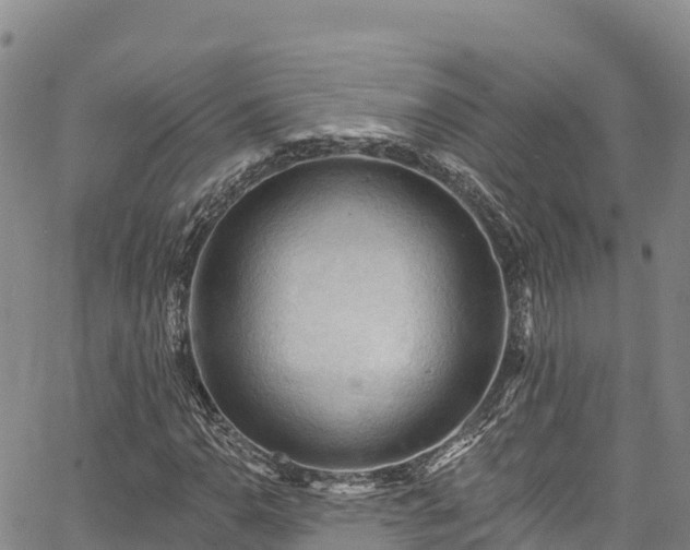 X0000067511110200604101248