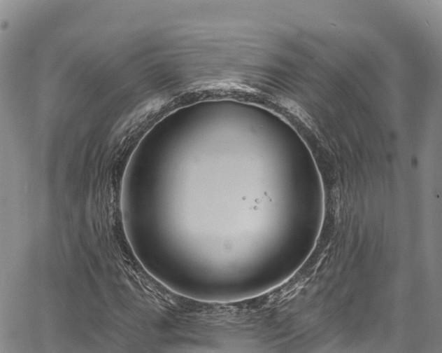 X0000067511111200604101248