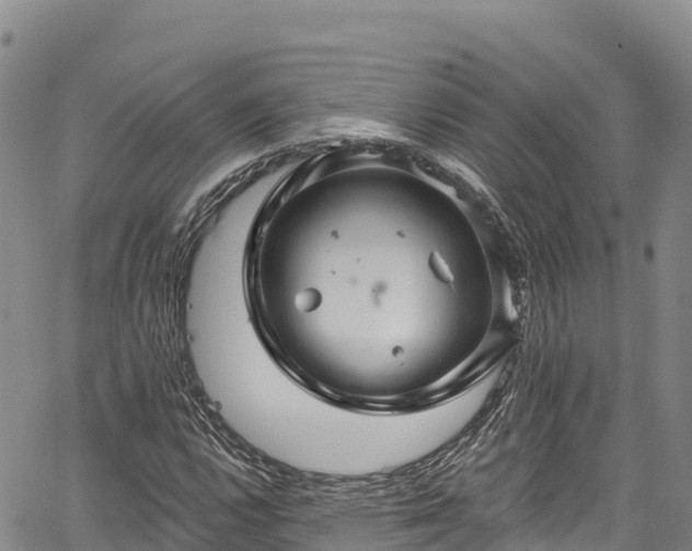 X0000067511112200604101248