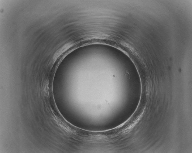 X0000067511113200604101248