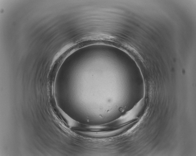 X0000067511114200604101249