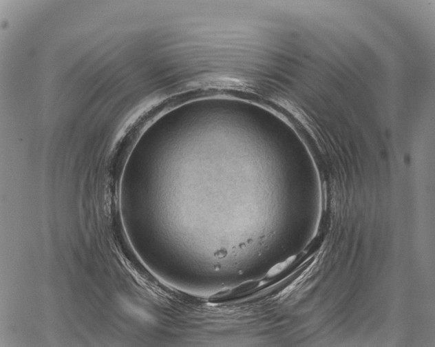 X0000067511115200604101249