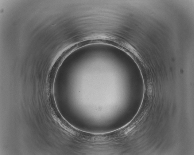 X0000067511116200604101249