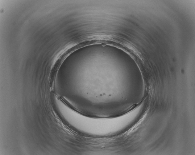 X0000067511117200604101249