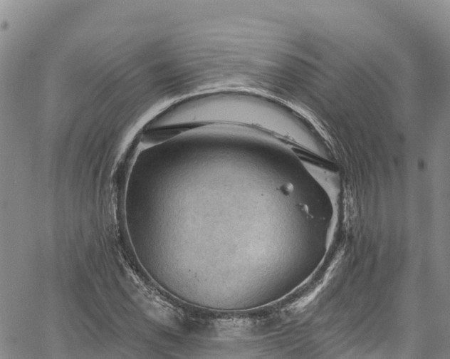 X0000067511118200604101249