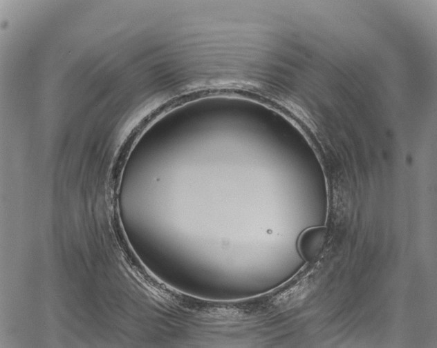 X0000067511119200604101249