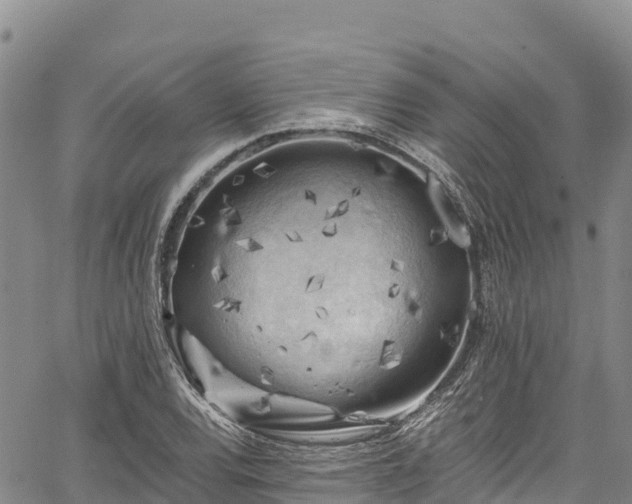 X0000067511120200604101249